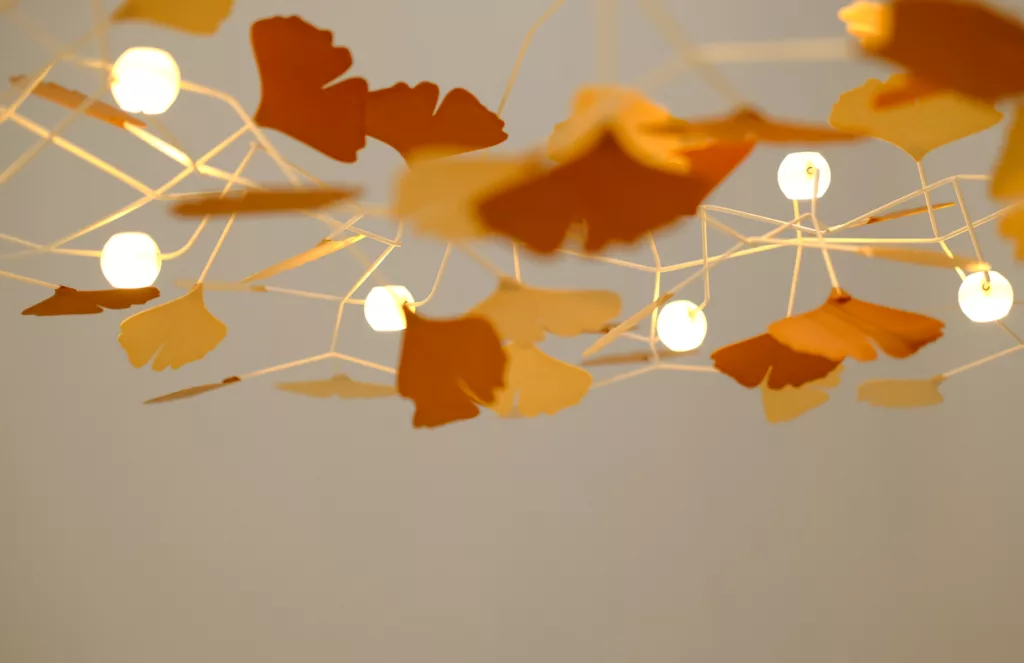 De Fish een aanwinst boven iedere eettafel